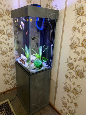 Akvarium sotiladi Full komplekt