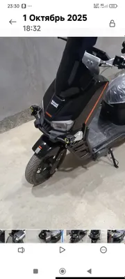 вапсад спорт про