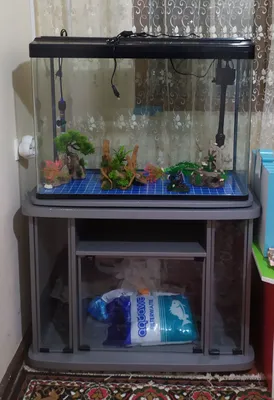Продам аквариум с рыбками с тумбой все комплект