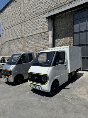 Damas mini elektro