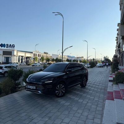Byd champion hybrid full 150 km