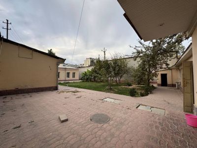 Юнусабод Алейскийда срочно йер сотилади 8.сотка