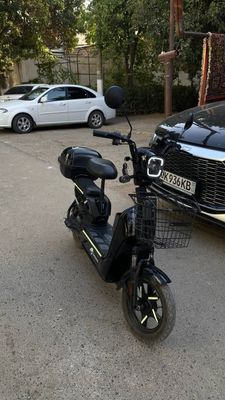 Skuter tiniq holatda