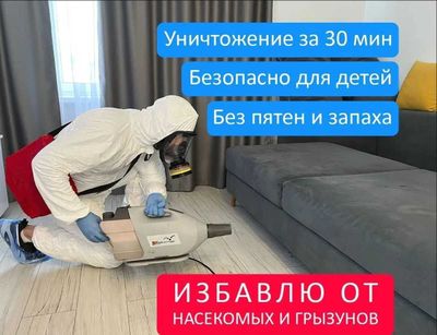 Дезинфекция от клопов дезинсекция dezinfeksiya dizinfeksiy klapa клоп
