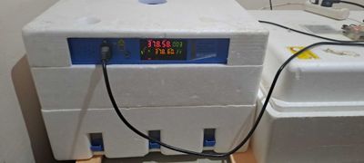 Инкубатор сотилади 192 тухум