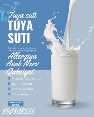 Кумрон туя сути Qumron
