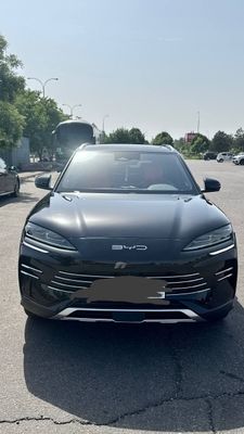 Продается чемпион Сонг Byd