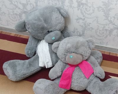 teddy