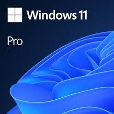 Windows 11 pro установка с лицензией