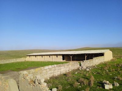 Ferma, qo’ra, molxona. Qo’yxona