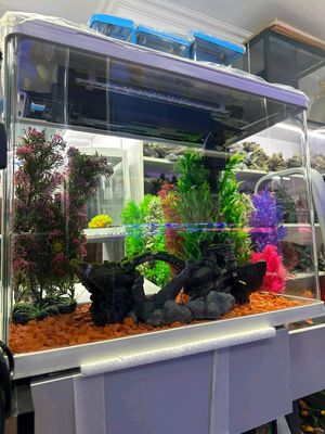 Nev Xitoy Akvariumlari