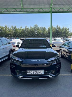 Byd champion xolati yaxshi 2024 full