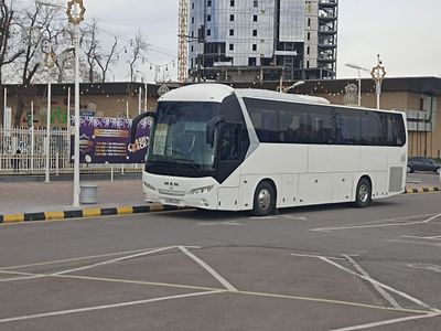 Туристическая Ман Автобусов