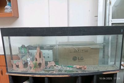 Akvarium