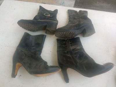женские сапоги