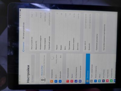 Ipad air original