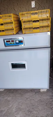 ИНКУБАТОР 512 талик гарантияси 1 йил