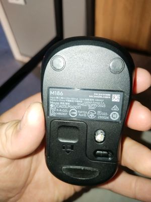 Mouse