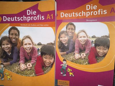 книга Die Deutschprofis A1 (Kursbuch и Übungsbuch)