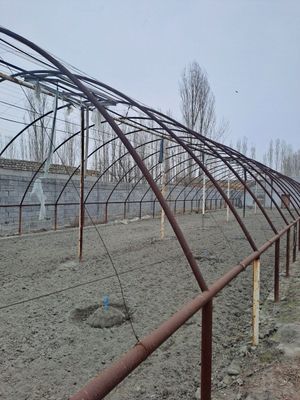 Парник иссикхона