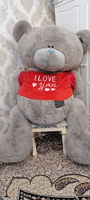 Teddy  bo'yi 1.90