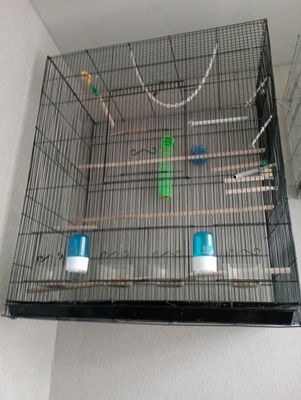 продам клетки для птиц