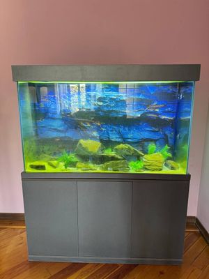 Akvarium sotiladi