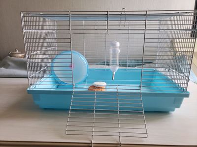 Клетка
