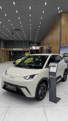 Yangi BYD Seagull 2025 rasmiy dilerdan kafolat bilan