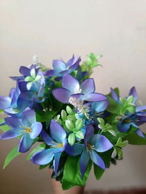 Beauty_Flowers