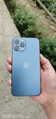 Iphone 12 pro max янгидай