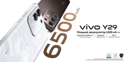 Vivo Y29 8/256 black/wheri