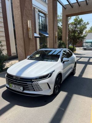 BYD chazor 120 tali