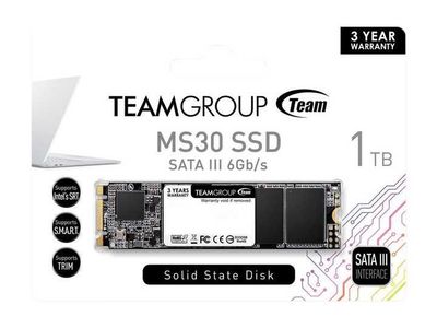 SSD M2 SATA 1Tb Teamgroup MS30 (BOX)