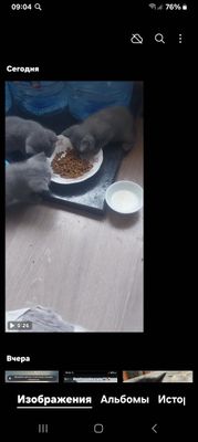 Хроши милики в дома сена хроши