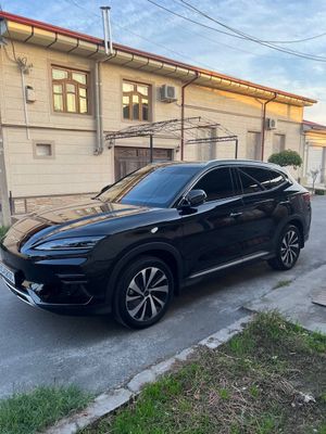 Byd Champion Бвд чампион