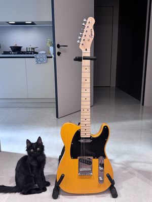 Комплект Squier Telecaster + Fender Champion 20