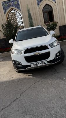 Captiva Kraskasi Tozza, Oformleniyaga tayyor