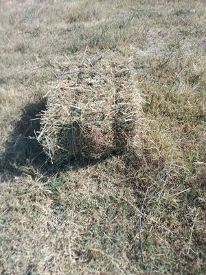 Янток прес сотилади