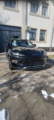 Byd chapion smatr srochno sotiladi