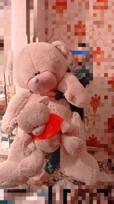 Teddiy ayiq
