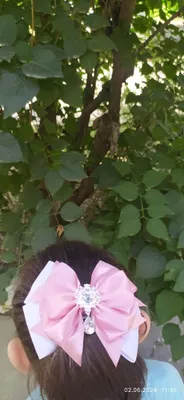 Школьные бантики для волос девочке