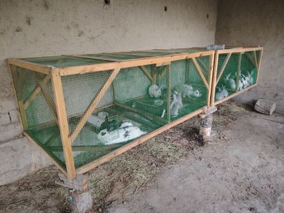 Bekorchilar bezovta qilmasin iltimos