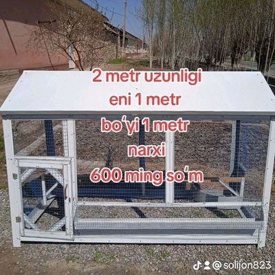 Tovuq kataklar