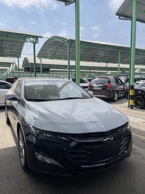 Malibu XL pez brobeg