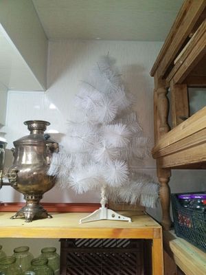 Archa sotiladi