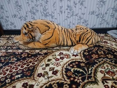 Шерлар сотилади 2 та