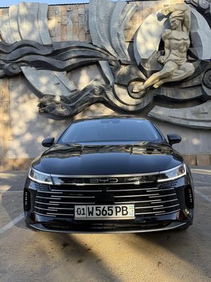 Byd Chazor FLAGSHIP 110 km