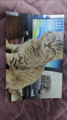 Epson3258 triadnom Wifi bn telda komp/da ishlaydi.