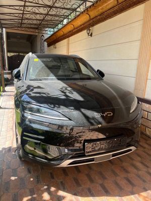 Byd chempion 2025 smart full